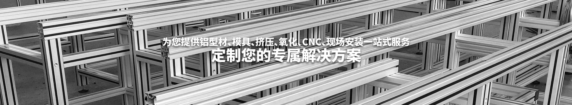 新聞動態(tài)